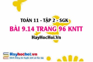 Bài 9.14 trang 96 Toán 11 tập 2 Kết nối tri thức: Đạo hàm cấp hai